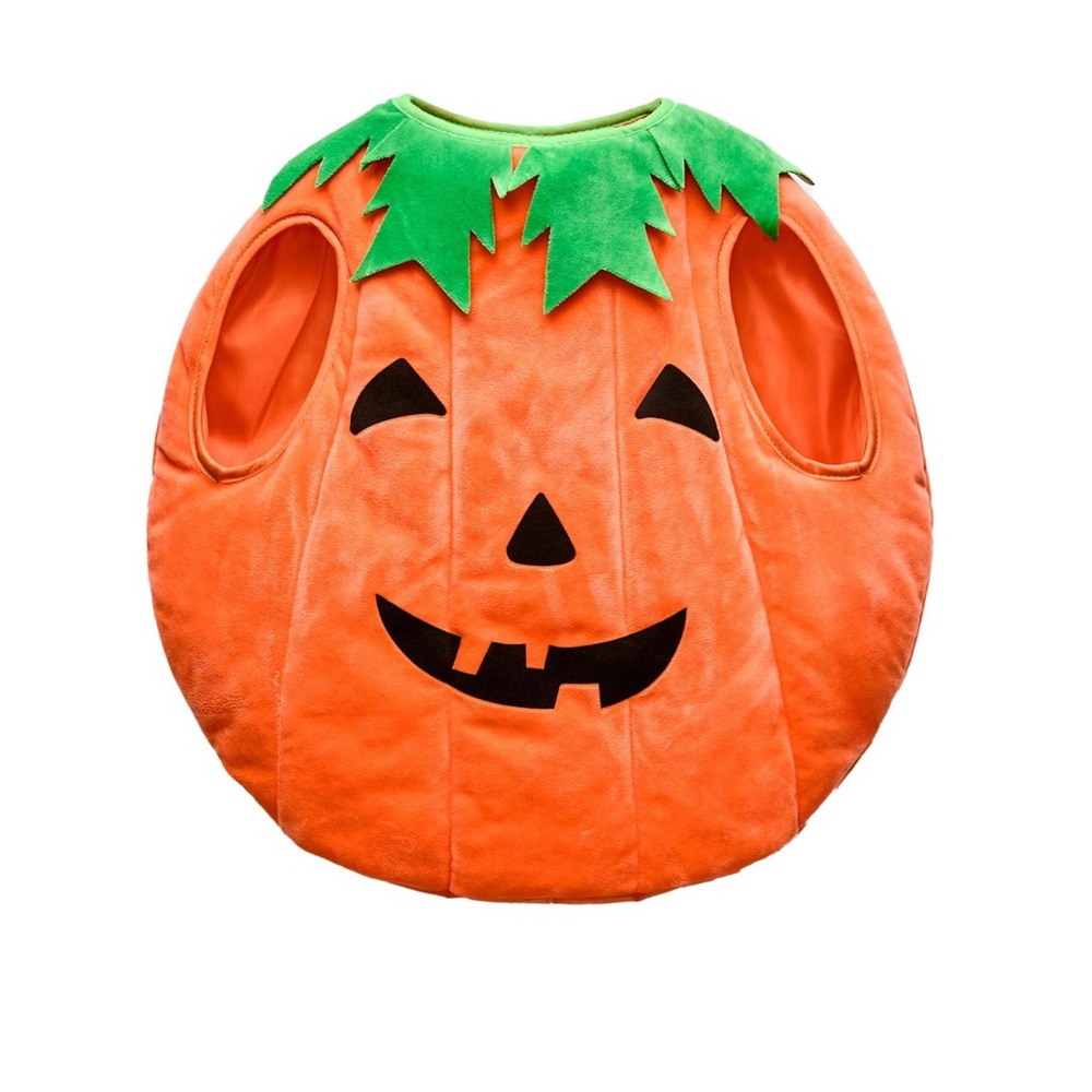 Zara Pumpkin Costume for Kids - Orange and Green